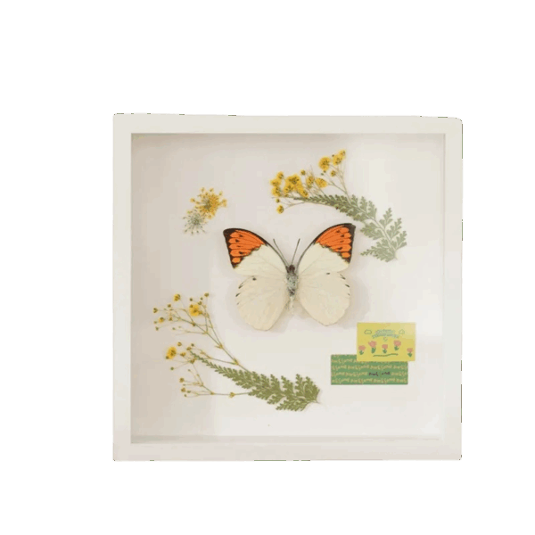 LumiFrame Blanc