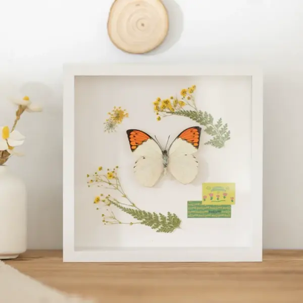 LumiFrame Blanc - Image 2